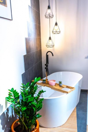 Thome Ego Flat Cluj-Napoca